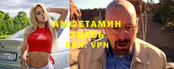 крисы Ельня
