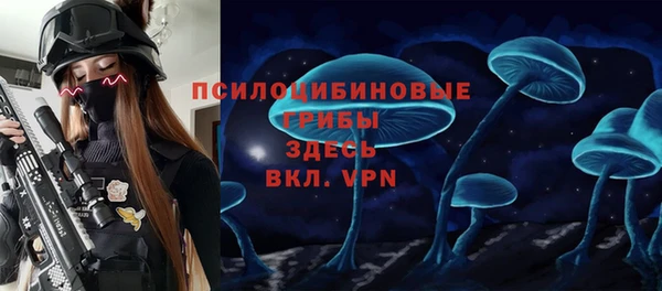 крисы Ельня