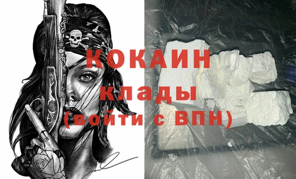 крисы Ельня