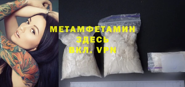 крисы Ельня