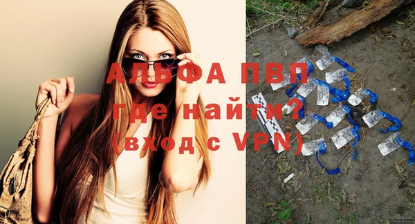 крисы Ельня