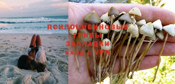 крисы Ельня