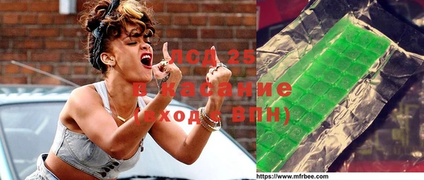крисы Ельня
