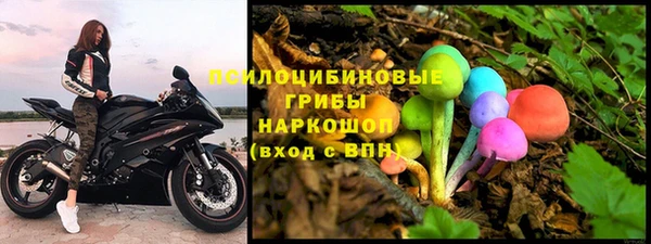крисы Ельня