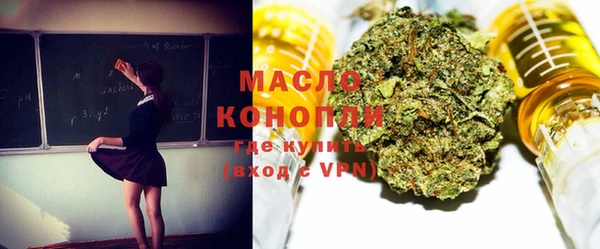 крисы Ельня